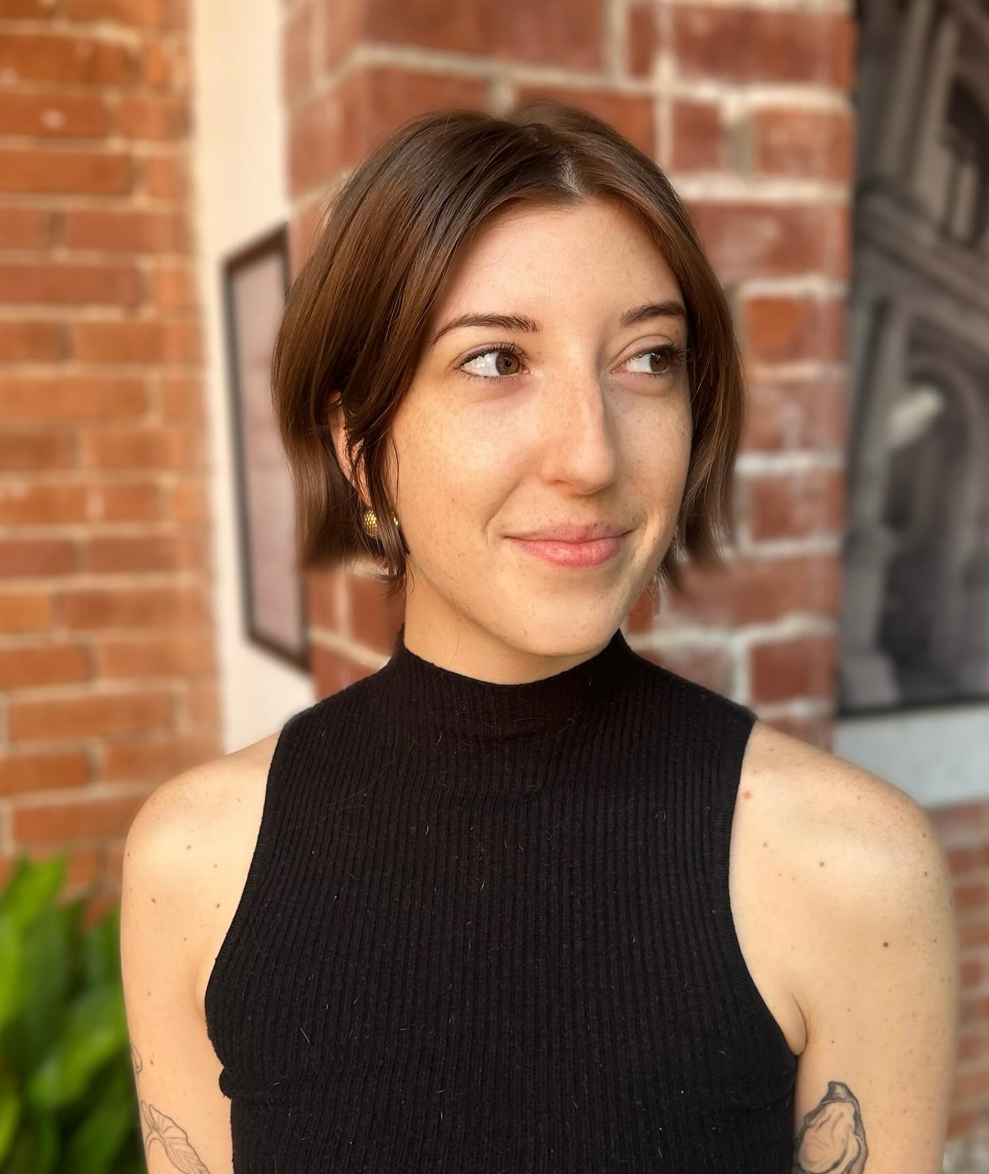 Sleek Brown Bob with Soft Contouring